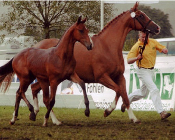 broodmare Salome 306 (Oldenburg, 2005, from Sandro Hit)