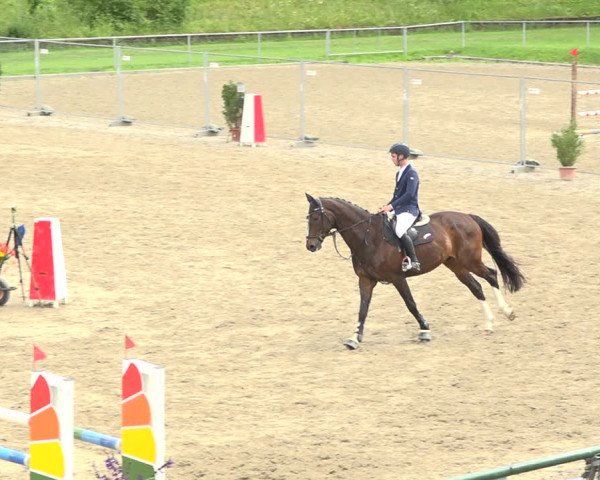 Reitturnier Schaffhausen 2020