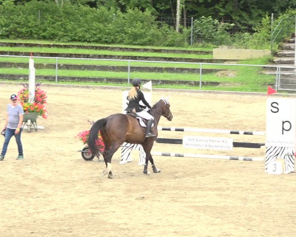 Reitturnier Schaffhausen 2020