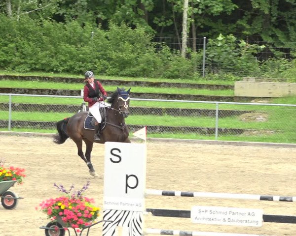 Reitturnier Schaffhausen 2020