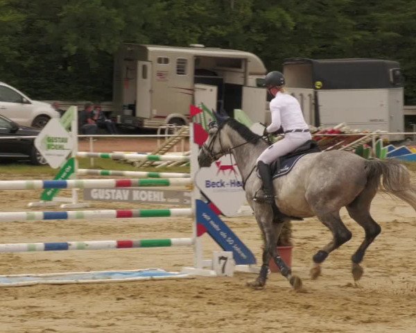 Reitturnier Heiligenwald 2020
