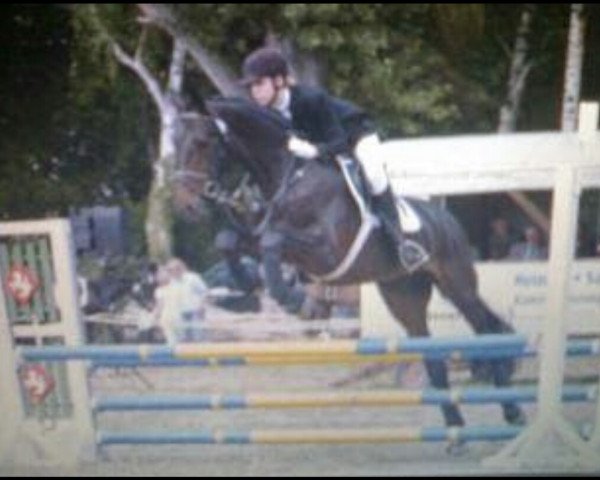 jumper Cataldo (Holsteiner, 1996, from Claudio)
