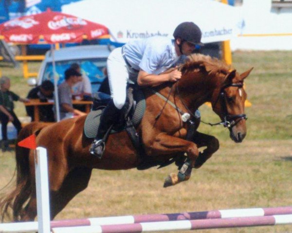 horse Grand Lady 26 (Mecklenburg, 1999, from Grannox)