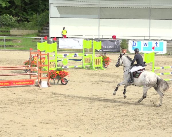 Reitturnier Schaffhausen 2020