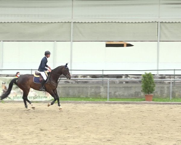 Reitturnier Schaffhausen 2020