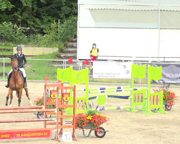Reitturnier Schaffhausen 2020