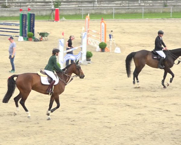 Reitturnier Schaffhausen 2020