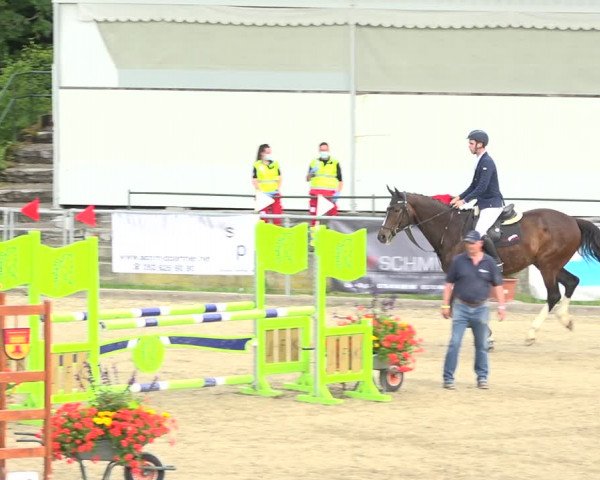 Reitturnier Schaffhausen 2020