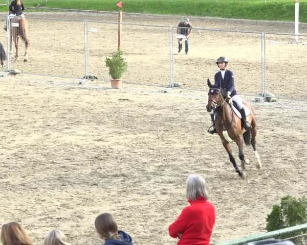 Reitturnier Schaffhausen 2020