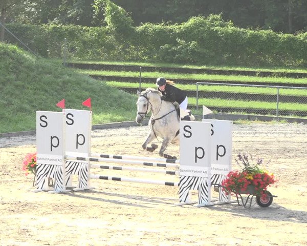 Reitturnier Schaffhausen 2020