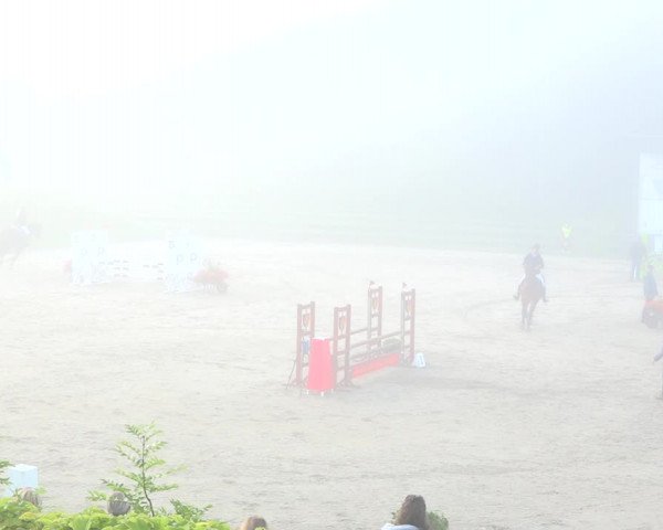 Reitturnier Schaffhausen 2020