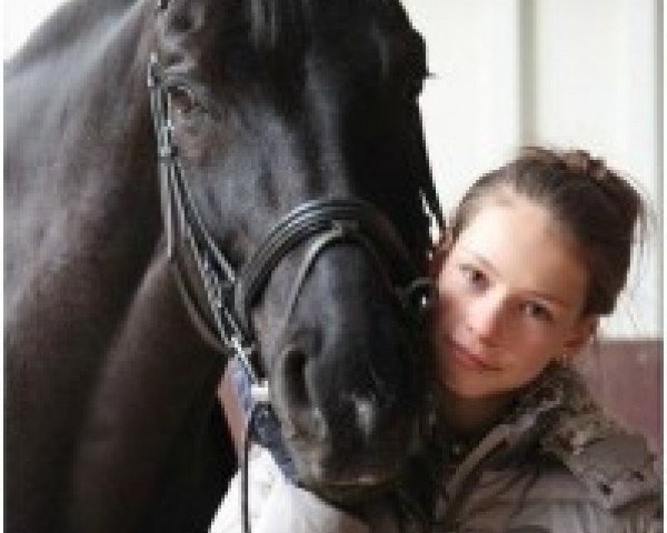 dressage horse Scampalo 6 (Oldenburg, 2002, from Sandro Hit) dressage horse Scampalo 6 (Oldenburg, 2002, from Sandro Hit)