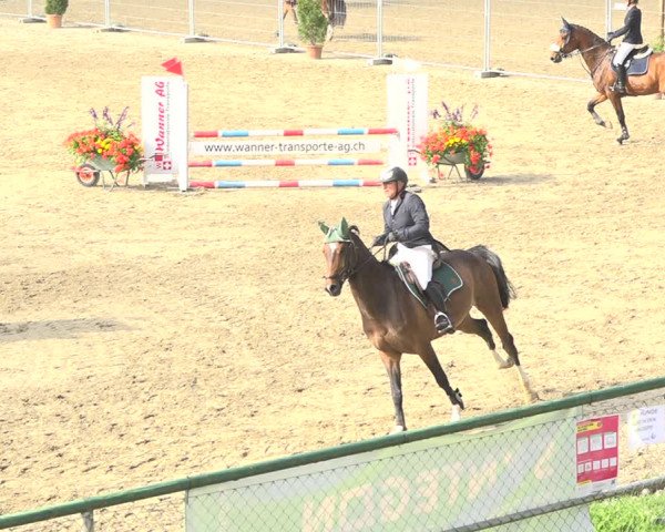 Reitturnier Schaffhausen 2020