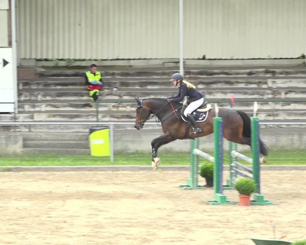 Reitturnier Schaffhausen 2020