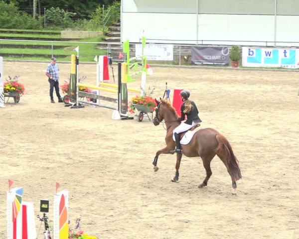 Reitturnier Schaffhausen 2020