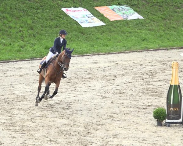 Reitturnier Schaffhausen 2020