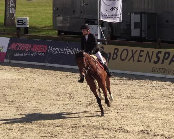 Reitturnier CSI** Westergellersen 2020