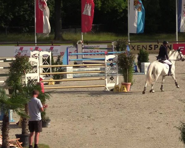 Reitturnier CSI** Westergellersen 2020