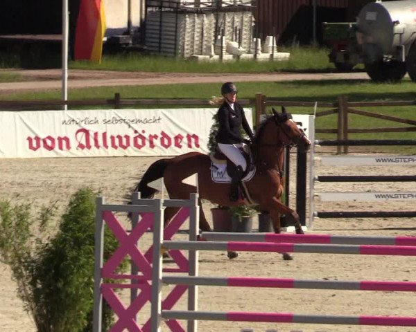 Reitturnier CSI** Westergellersen 2020
