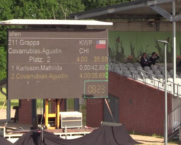 Reitturnier CSI** Westergellersen 2020