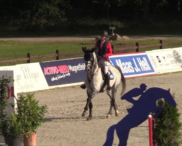 Reitturnier CSI** Westergellersen 2020