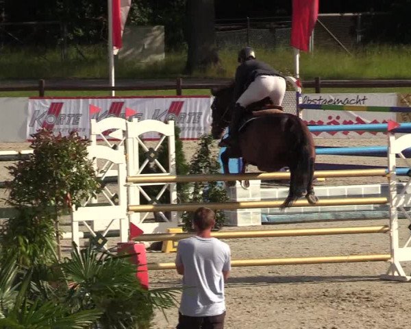 Reitturnier CSI** Westergellersen 2020