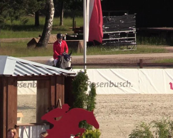 Reitturnier CSI** Westergellersen 2020