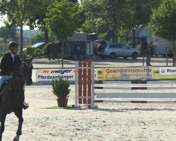 Reitturnier Grafenrheinfeld/Ufr. 2020