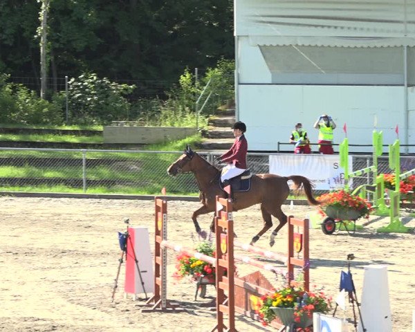 Reitturnier Schaffhausen 2020