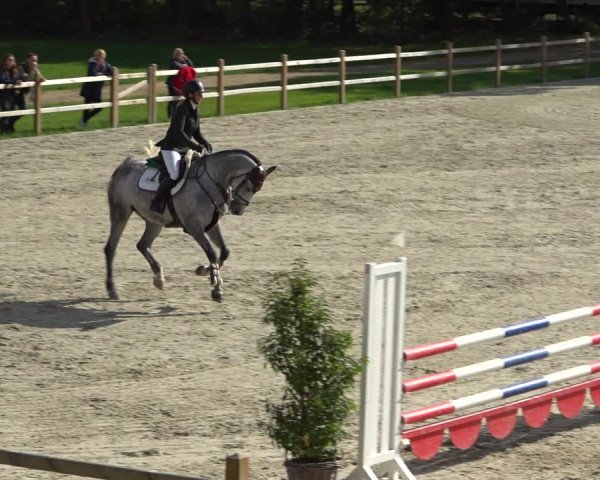 Reitturnier Westergellersen 2021