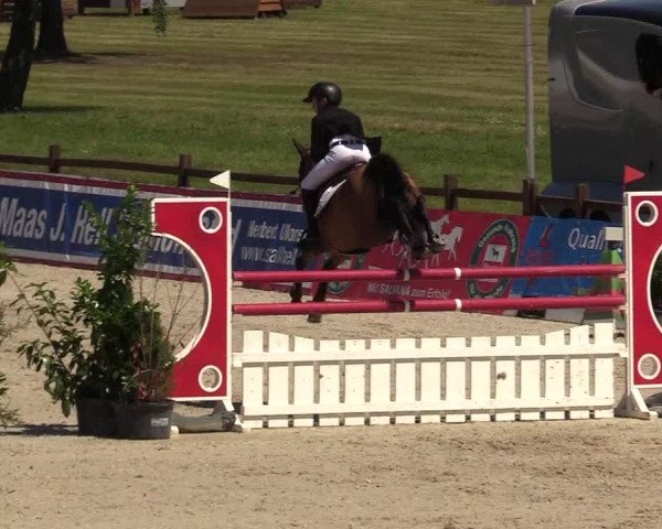 Reitturnier CSI** Westergellersen 2020