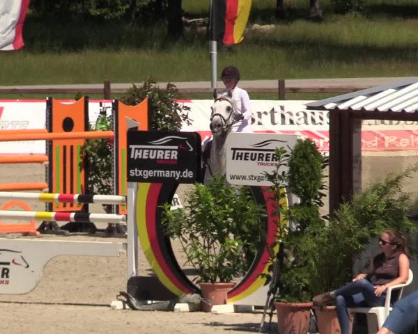 Reitturnier CSI** Westergellersen 2020