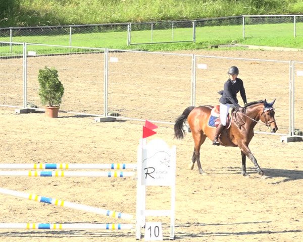 Reitturnier Schaffhausen 2020