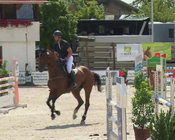 Reitturnier Grafenrheinfeld/Ufr. 2020