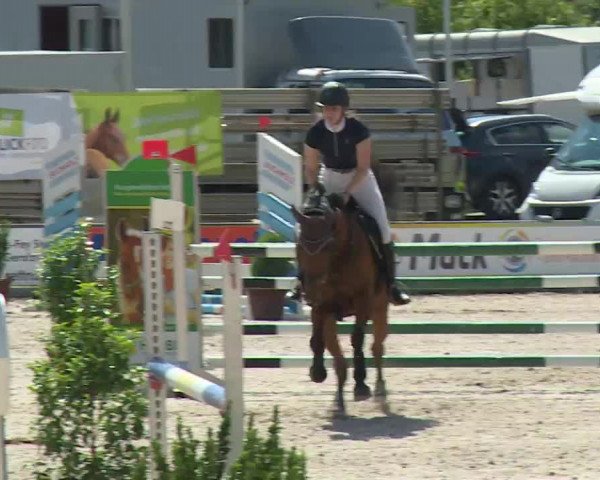 Reitturnier Grafenrheinfeld/Ufr. 2020