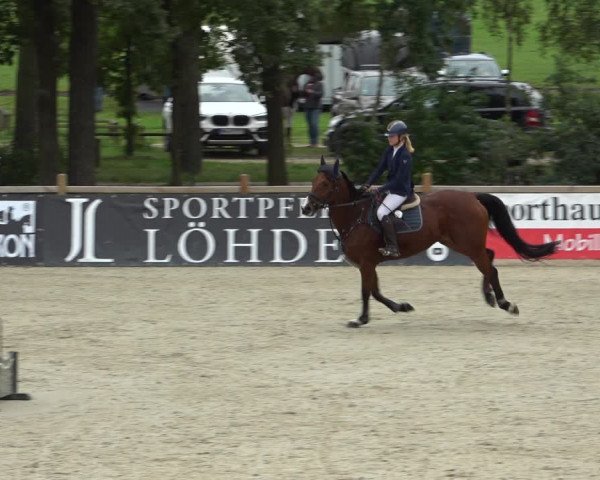 Reitturnier Westergellersen 2021