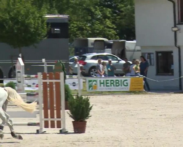 Reitturnier Grafenrheinfeld/Ufr. 2020