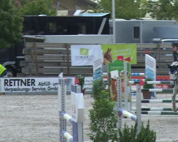 Reitturnier Grafenrheinfeld/Ufr. 2020
