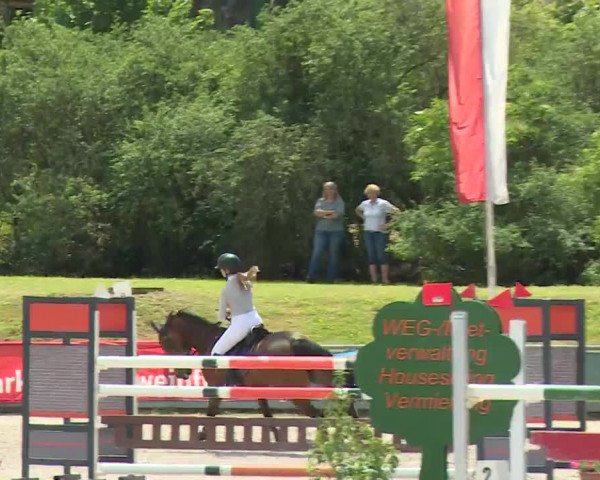 Reitturnier Grafenrheinfeld/Ufr. 2020