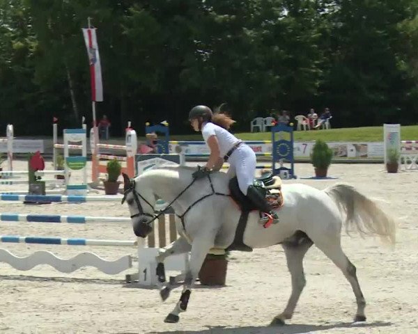 Reitturnier Grafenrheinfeld/Ufr. 2020