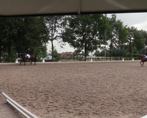 Reitturnier Fröndenberg 2020