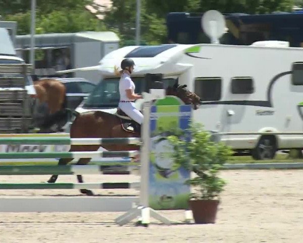 Reitturnier Grafenrheinfeld/Ufr. 2020