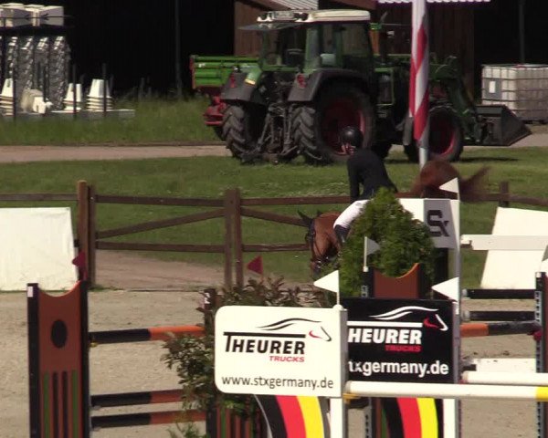 Reitturnier CSI** Westergellersen 2020