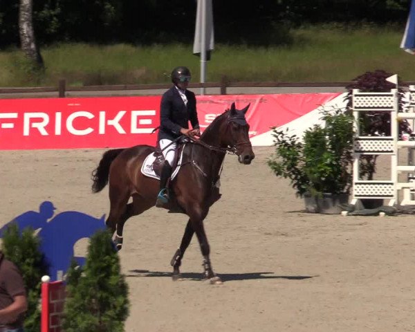 Reitturnier CSI** Westergellersen 2020