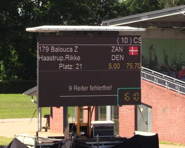 Reitturnier CSI** Westergellersen 2020