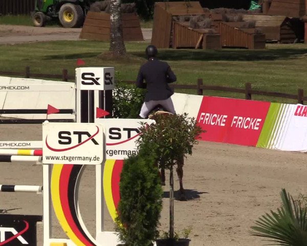 Reitturnier CSI** Westergellersen 2020