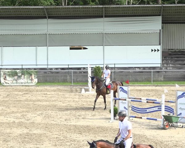 Reitturnier Schaffhausen 2020