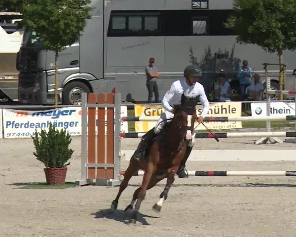 Reitturnier Grafenrheinfeld/Ufr. 2020