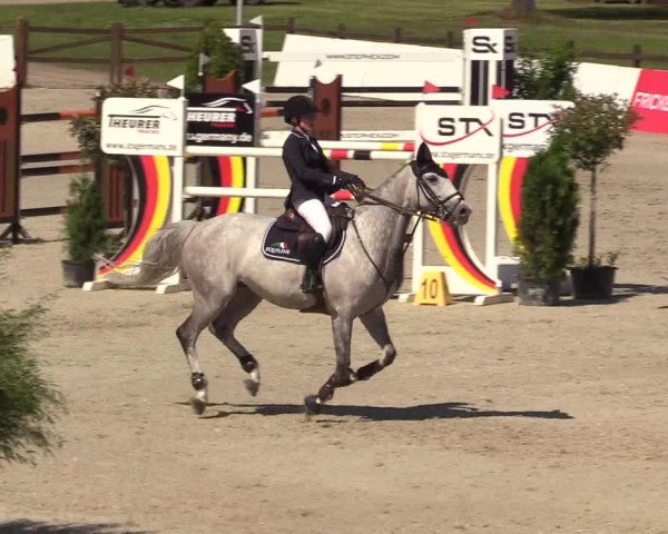 Reitturnier CSI** Westergellersen 2020