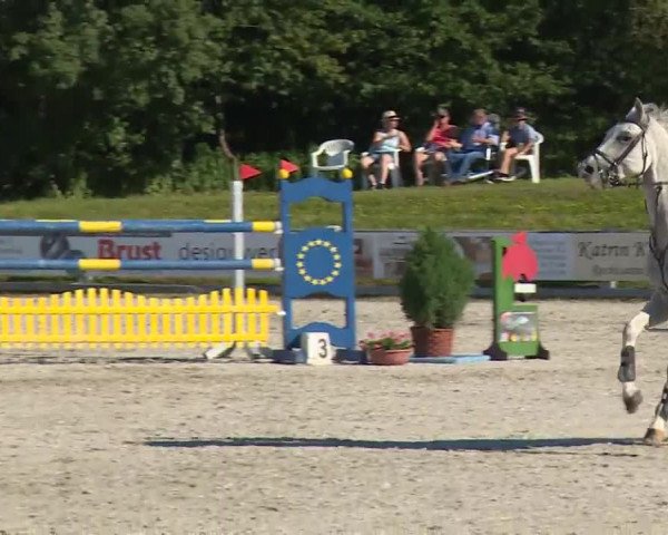 Reitturnier Grafenrheinfeld/Ufr. 2020